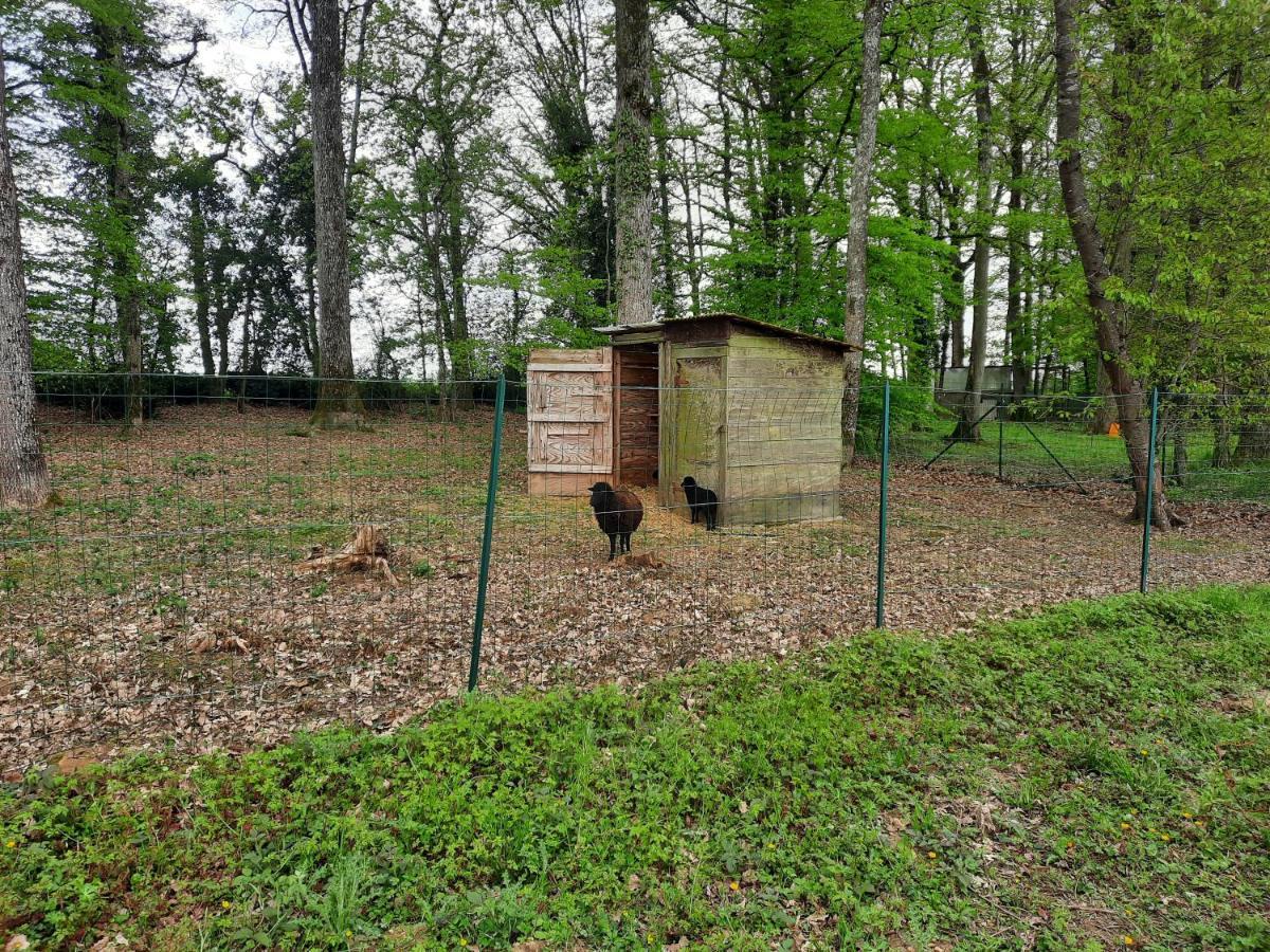 Maison De Campagne Au Calme Chuelles Екстер'єр фото